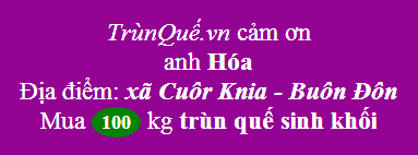 Trùn quế xã Cuôr Knia - Buôn Đôn