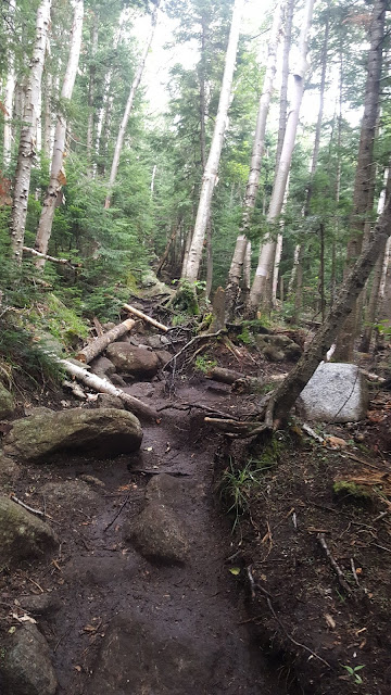 Sentier vers le mont Marcy