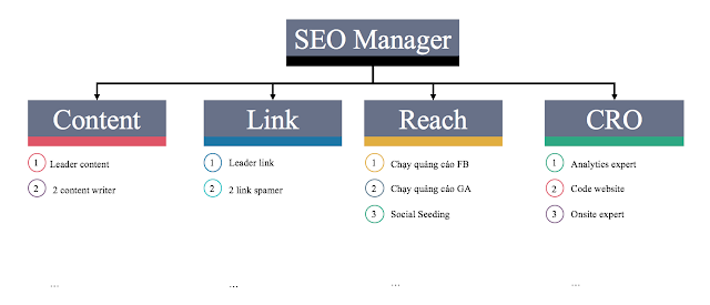 Sơ đồ phòng SEO phân bố nhân sự