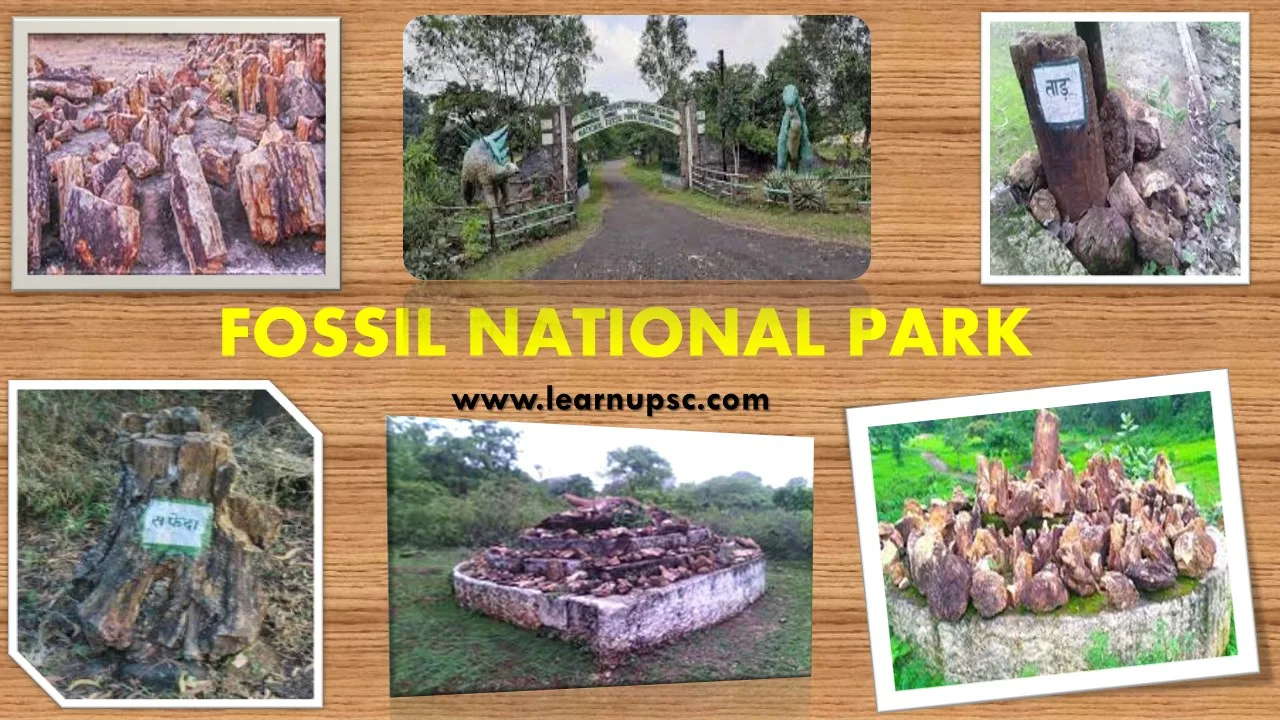 Fossil National Park