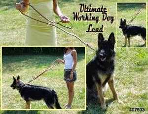 How To Stop Your Dog From Pulling- using your lead & collar differently.