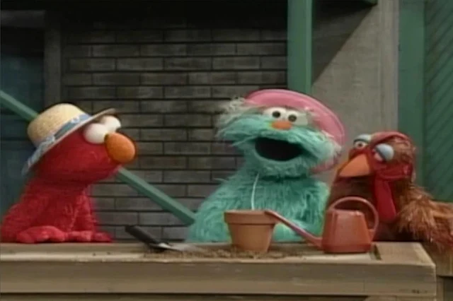 Sesame Street Episode 3435