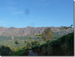 P1070406