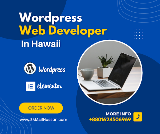 Expert Wordpress Web Developer In Hawaii