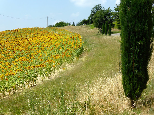 casa-fonsi-monteveglio