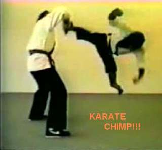 Crazy Karate Monkey Chimp