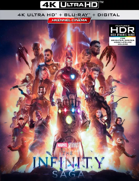 Avengers: Saga Del Infinito – Colección (2012-2019) Español Latino 4K DV HDR10 y Full HD 1080p [1 LINK]