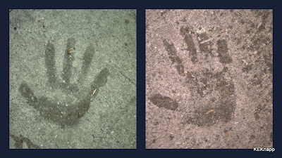 sidewalk hands found in Riverside area of Jacksonville Florida