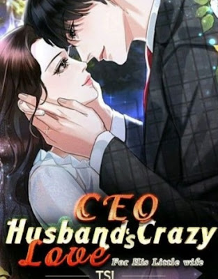 CEO Husbands Crazy Love For His Little Wife Novel