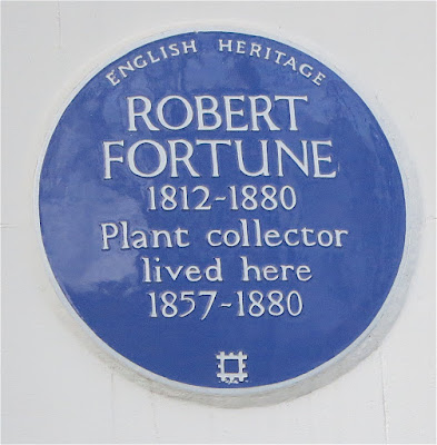 sign from Robert Fortune's house in London