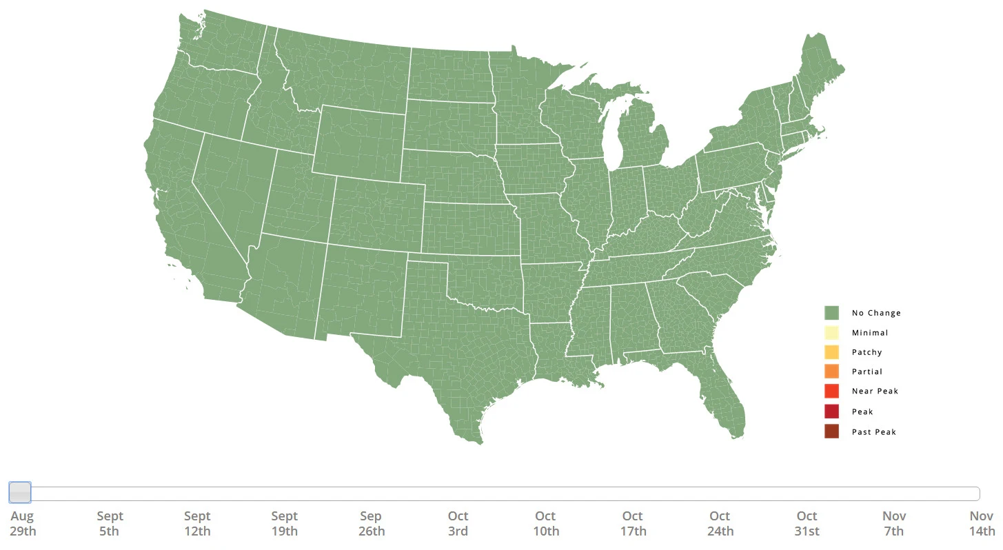 Fall foliage prediction map