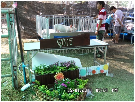 'งานเกษตรภาคอีสาน ขอนแก่น 2557