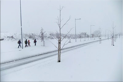 Llegando a Mariturri (Gasteiz)