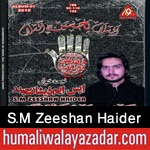 http://www.humaliwalayazadar.com/2015/10/sm-zeeshan-haider-nohay-2016_22.html