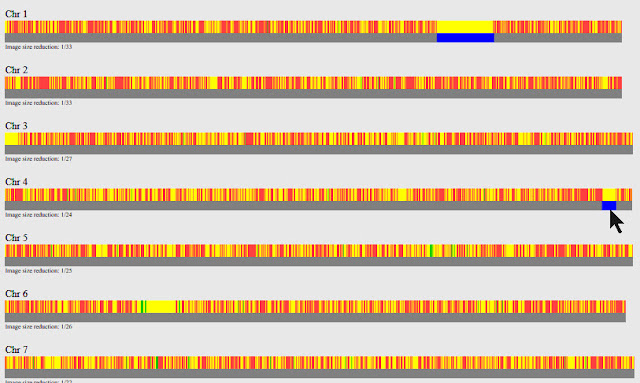 GEDmatch chromosome browser