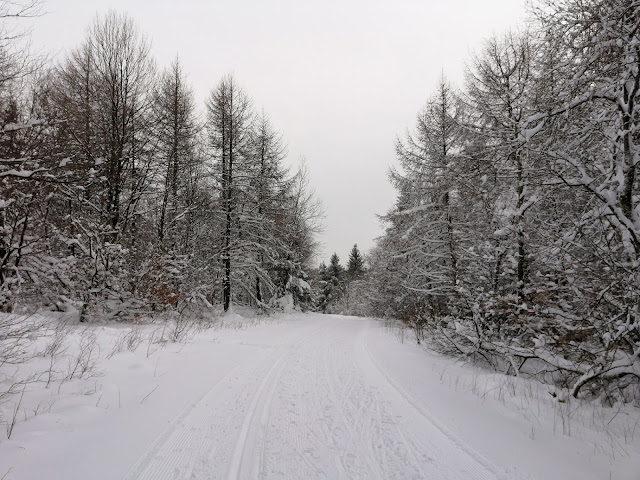 Sauerland wandern Wetter blog Winterberg Bremberg Loipe