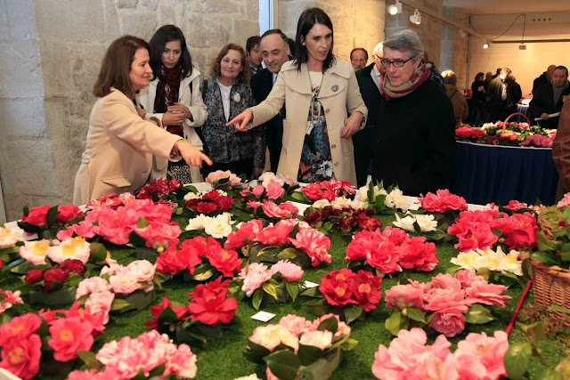 Concellos portugueses e da provincia, entre os que está Barro, participarán na mostra floral da camelia