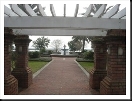 DSCN7035
