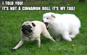 30 Funny animal captions - part 21 (30 pics), captioned animal pictures, dog chasing dog