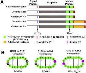 Figure 1 of Venkatarama et al (2009)