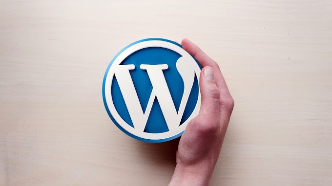 Your Content Marketing Firm Could Benefit From WordPress Developers: Read On To Know How