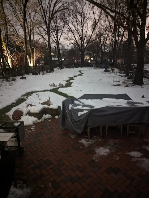 A desire path from our house to our compost bin in Winter snow.