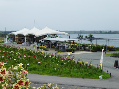 大阪舞洲ゆり園