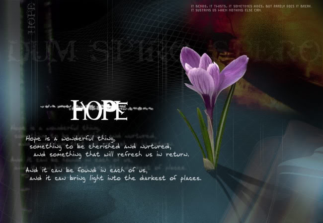 religious quotes about strength. religious quotes about hope