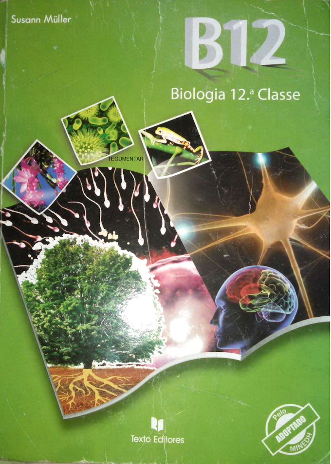 Baixar livro de  Biologia  12 classe