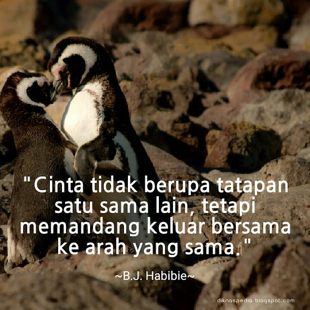 Kata Kata Motivasi Hidup Terbaik Dilengkapi Gambar, Quotes & Caption Keren