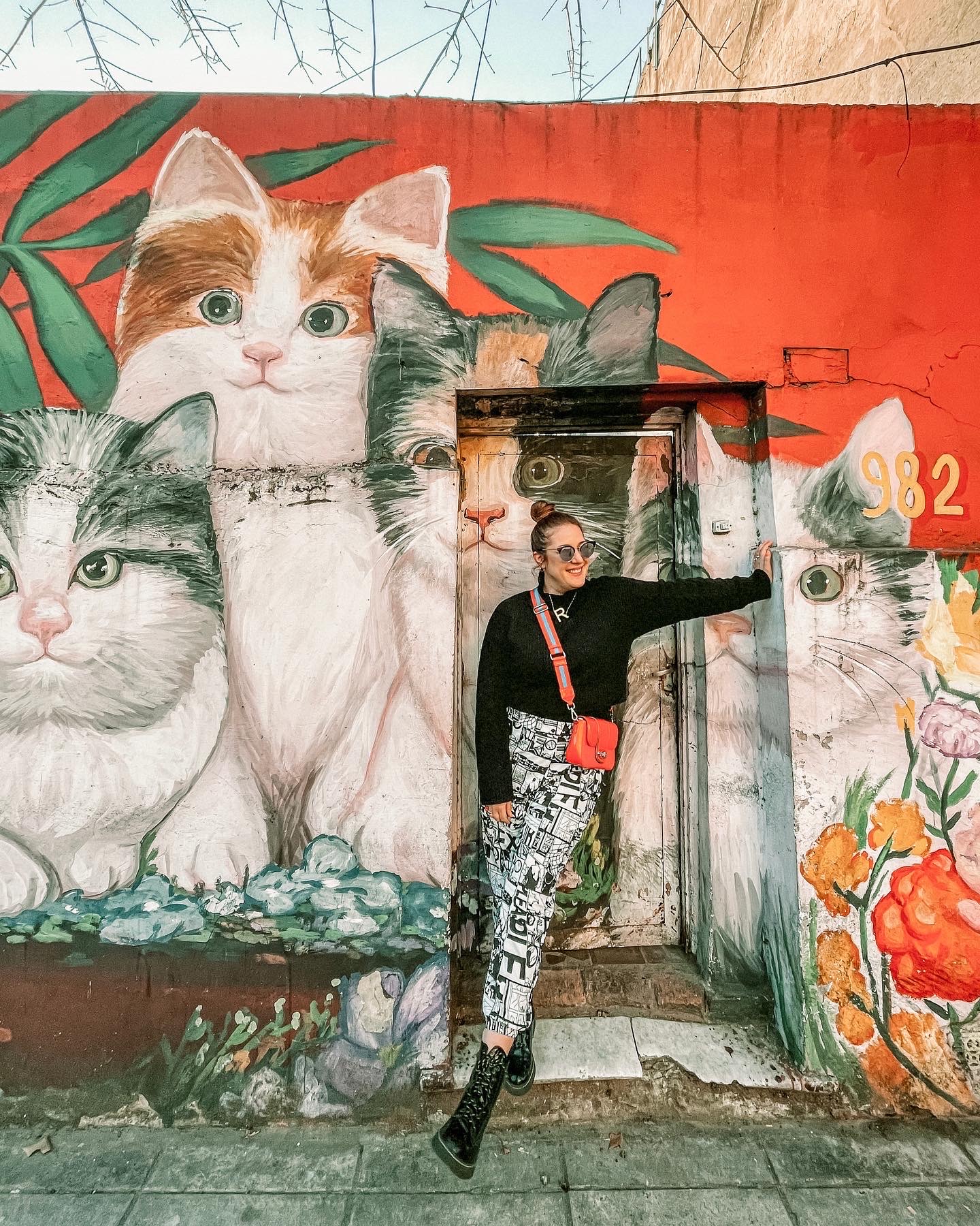 mural de gatitos en villa crespo