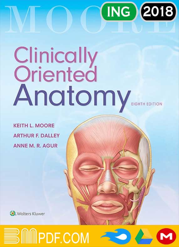 Moore clinically oriented anatomy 8th edition PDF, Human Anatomy