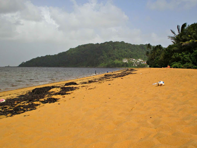 Guyane, Kourou, Cayenne, Montabo, plage, miettes de vie, Awala Yalimapo, tortues, ponte, oiseaux.