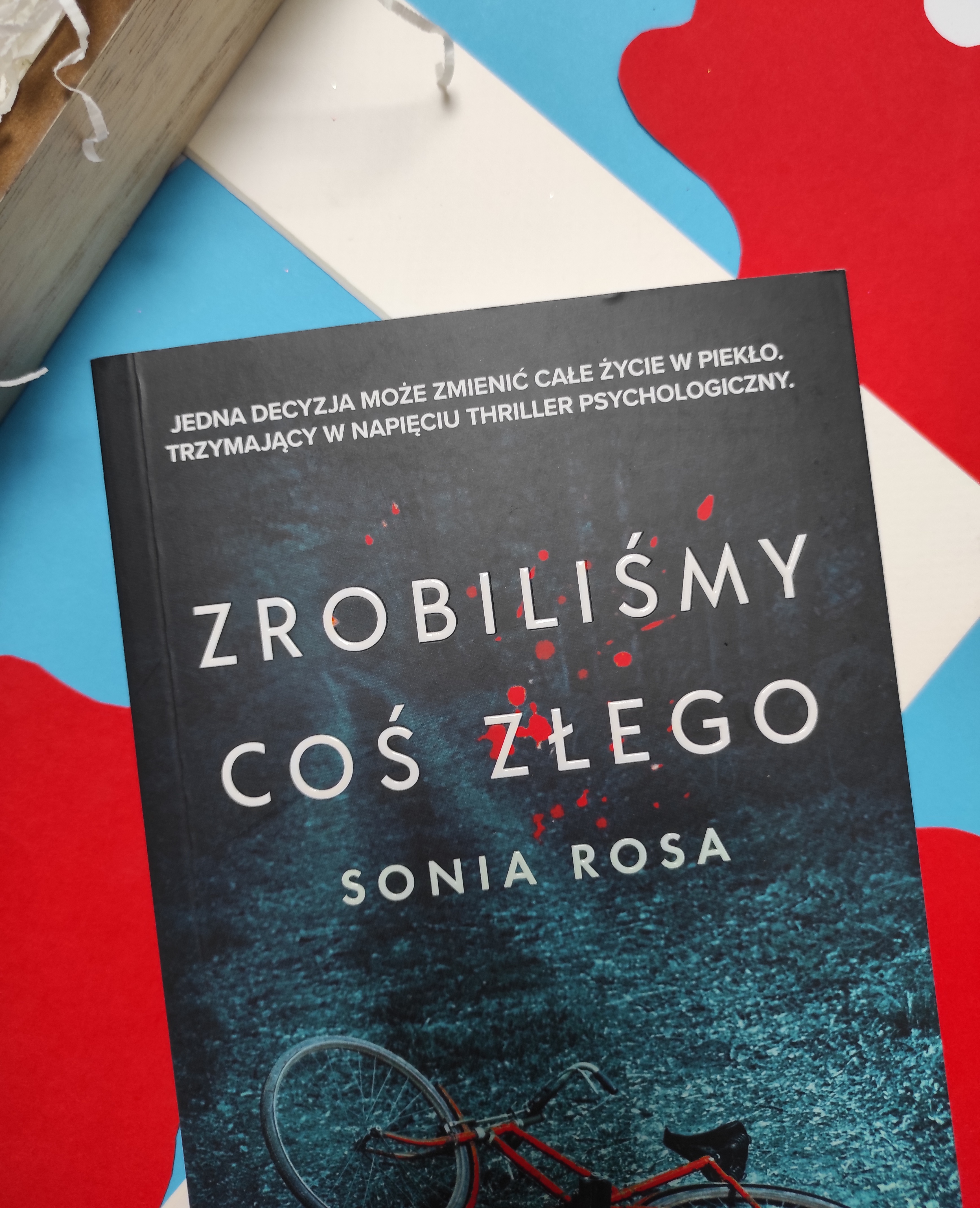 "Zrobiliśmy coś złego" Sonia Rosa - recenzja - Tania Książka
