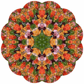 Kaleidoscope Photo Art Tulips by Jeanne Selep