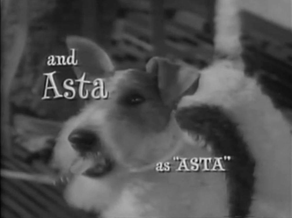 Lassie  Timmy Cast on Lassie Tv Show On Dvd