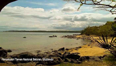 Taman Nasional Baluran Situbondo  