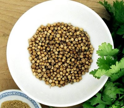 Ketumbar (Coriander)