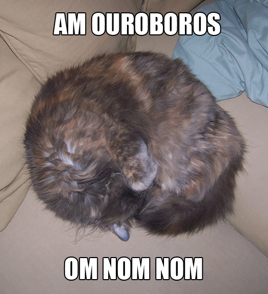 Isis is an ouroboros om nom nom cat macro by benchilada from flickr (CC-NC-SA)