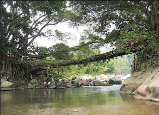 jembatan akar,jembatan akar sumatera utara,jembatan aka, wisata alam, sejarah jembatan akar