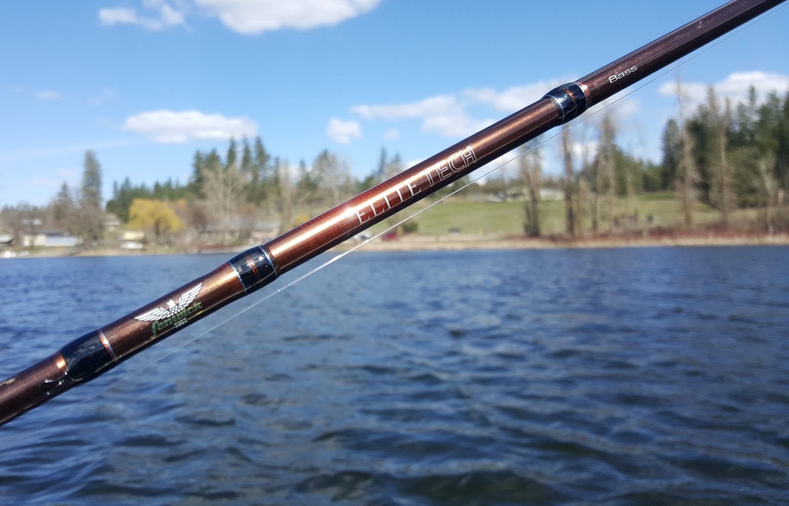 T Brinks Fishing: Fenwick Elite Tech Bass Rod Review