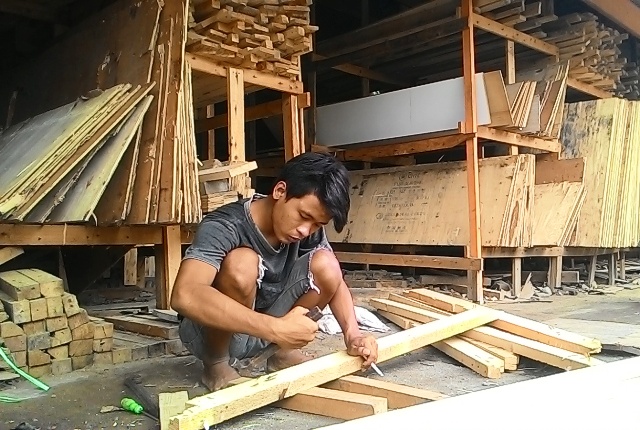 jual kayu jati belanda