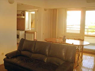 Apartament Herastrau - living