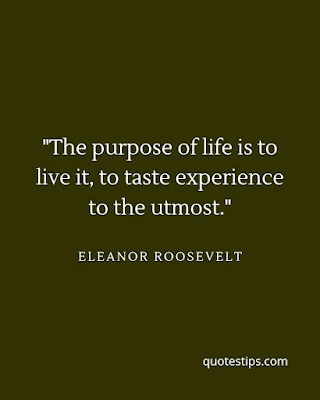 "The purpose of life is to live it, to taste experience to the utmost." — Eleanor Roosevelt