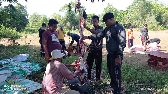 Distribusikan Daging Kurban, LAZISNU Pasongsongan Selatan Sembelih 2 Ekor Sapi dan Kambing