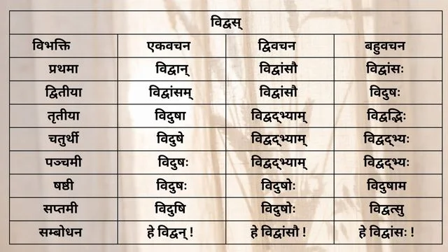 विद्वस् शब्द के रूप(Vidvas shabda ke roop)/Vidvas shabd roop in Sanskrit