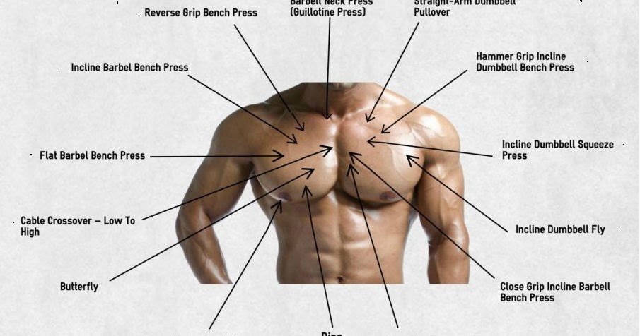 CHEST EXERCISE ANGLES AND THEIR EFFECT... - Fitness Learnings