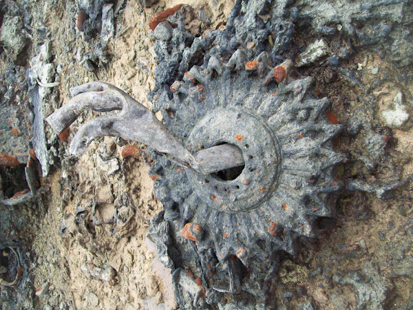World War 2 remains