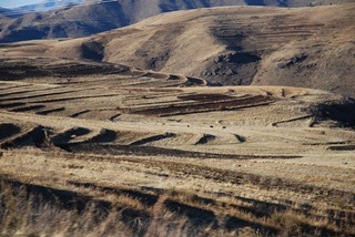 Lesotho19
