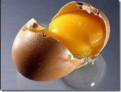 telur busuk